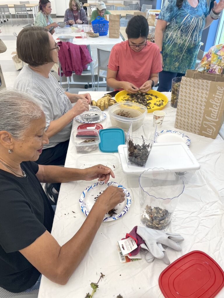 Members sorting seeds