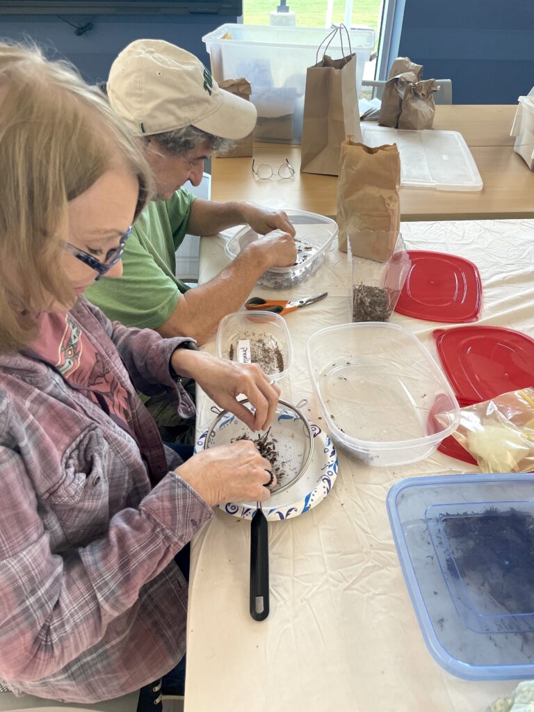Members sorting seeds
